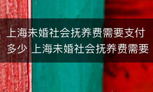 上海未婚社会抚养费需要支付多少 上海未婚社会抚养费需要支付多少钱