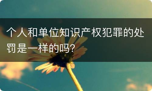 个人和单位知识产权犯罪的处罚是一样的吗？