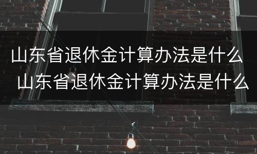 山东省退休金计算办法是什么 山东省退休金计算办法是什么规定