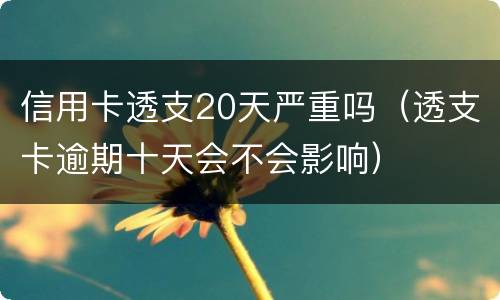 信用卡透支20天严重吗（透支卡逾期十天会不会影响）