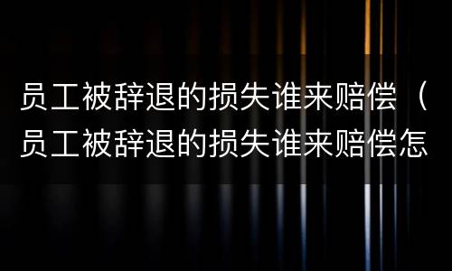 员工被辞退的损失谁来赔偿（员工被辞退的损失谁来赔偿怎么写）