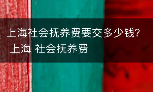 上海社会抚养费要交多少钱？ 上海 社会抚养费