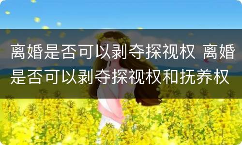 离婚是否可以剥夺探视权 离婚是否可以剥夺探视权和抚养权