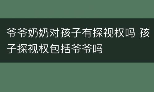 爷爷奶奶对孩子有探视权吗 孩子探视权包括爷爷吗