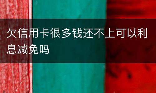 欠信用卡很多钱还不上可以利息减免吗