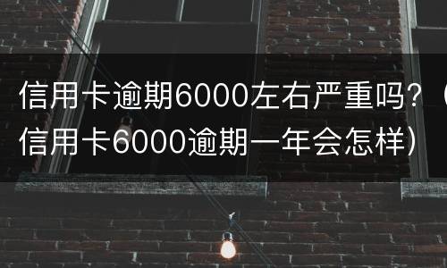 信用卡逾期6000左右严重吗?（信用卡6000逾期一年会怎样）