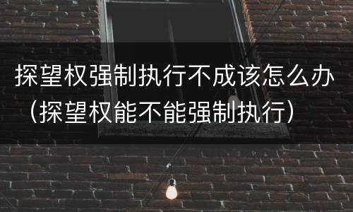 探望权强制执行不成该怎么办（探望权能不能强制执行）