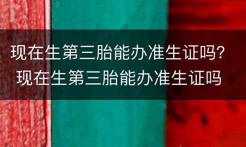 现在生第三胎能办准生证吗？ 现在生第三胎能办准生证吗