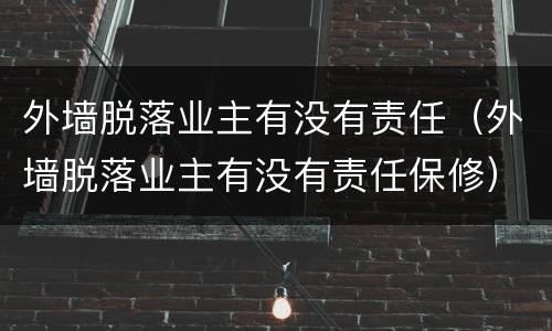 外墙脱落业主有没有责任（外墙脱落业主有没有责任保修）