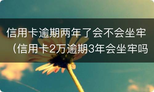 信用卡逾期两年了会不会坐牢（信用卡2万逾期3年会坐牢吗）