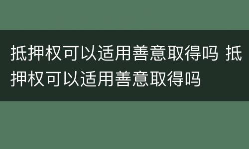 抵押权可以适用善意取得吗 抵押权可以适用善意取得吗