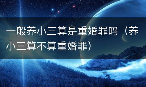 一般养小三算是重婚罪吗（养小三算不算重婚罪）