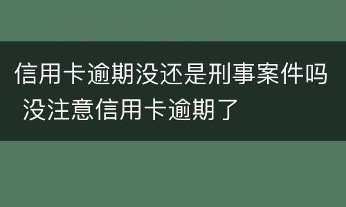 信用卡逾期没还是刑事案件吗 没注意信用卡逾期了