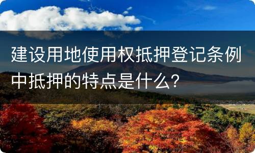 建设用地使用权抵押登记条例中抵押的特点是什么？