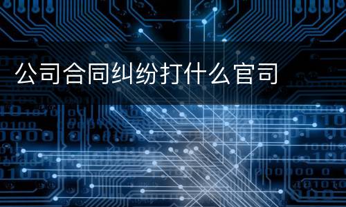 公司合同纠纷打什么官司