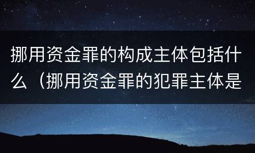 挪用资金罪的构成主体包括什么（挪用资金罪的犯罪主体是什么）