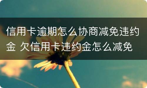 信用卡逾期怎么协商减免违约金 欠信用卡违约金怎么减免