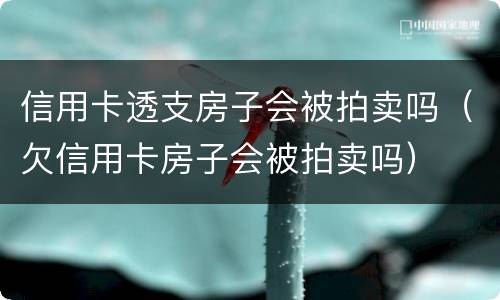 信用卡透支房子会被拍卖吗（欠信用卡房子会被拍卖吗）