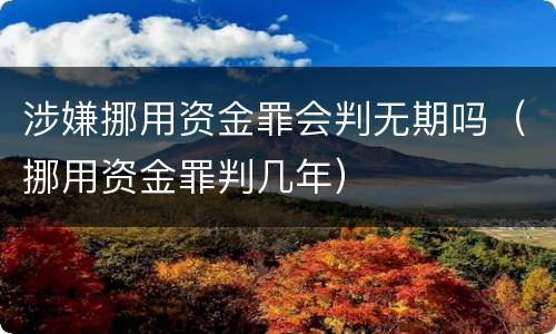 涉嫌挪用资金罪会判无期吗（挪用资金罪判几年）