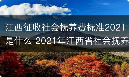 江西征收社会抚养费标准2021是什么 2021年江西省社会抚养费征收管理办法