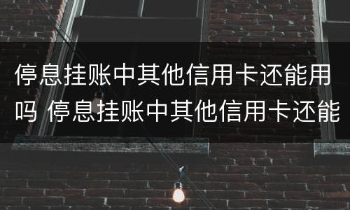 停息挂账中其他信用卡还能用吗 停息挂账中其他信用卡还能用吗安全吗