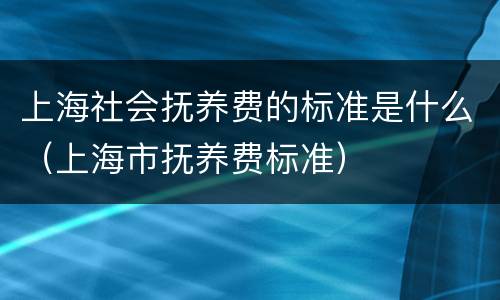 上海社会抚养费的标准是什么（上海市抚养费标准）