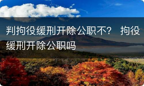 判拘役缓刑开除公职不？ 拘役缓刑开除公职吗