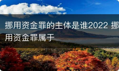 挪用资金罪的主体是谁2022 挪用资金罪属于