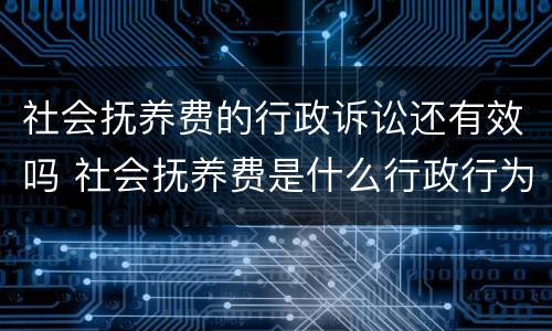 社会抚养费的行政诉讼还有效吗 社会抚养费是什么行政行为