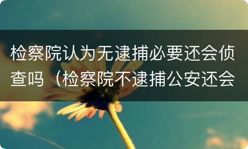 检察院认为无逮捕必要还会侦查吗（检察院不逮捕公安还会继续侦查吗）