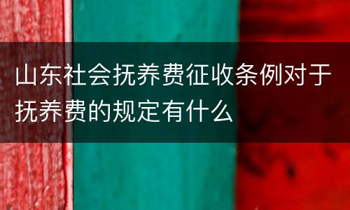 山东社会抚养费征收条例对于抚养费的规定有什么