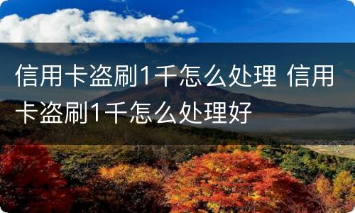 信用卡盗刷1千怎么处理 信用卡盗刷1千怎么处理好