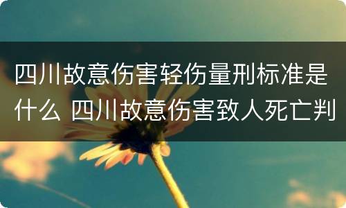 四川故意伤害轻伤量刑标准是什么 四川故意伤害致人死亡判决书