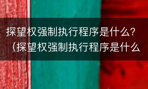 探望权强制执行程序是什么？（探望权强制执行程序是什么）