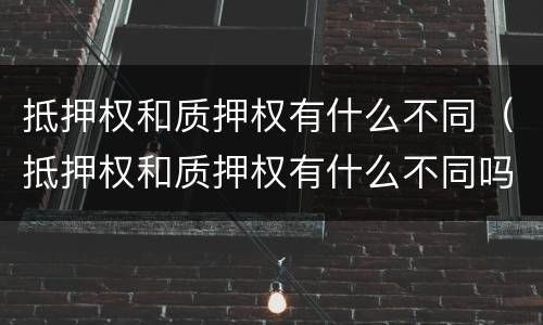 抵押权和质押权有什么不同（抵押权和质押权有什么不同吗）