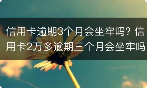 信用卡逾期3个月会坐牢吗? 信用卡2万多逾期三个月会坐牢吗