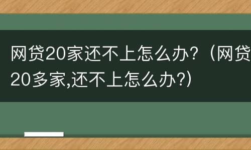 网贷20家还不上怎么办?（网贷20多家,还不上怎么办?）