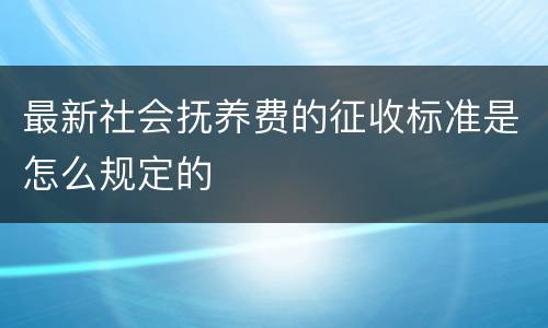 最新社会抚养费的征收标准是怎么规定的