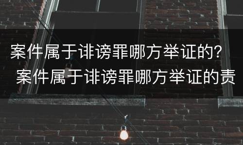 案件属于诽谤罪哪方举证的？ 案件属于诽谤罪哪方举证的责任