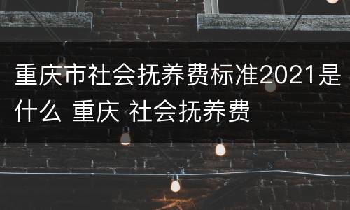 重庆市社会抚养费标准2021是什么 重庆 社会抚养费