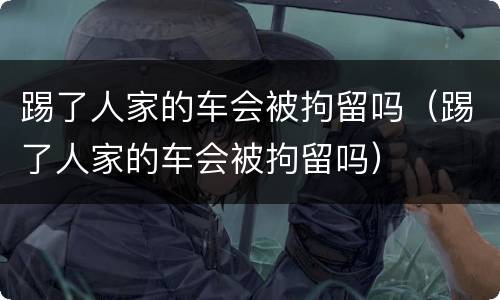 踢了人家的车会被拘留吗（踢了人家的车会被拘留吗）