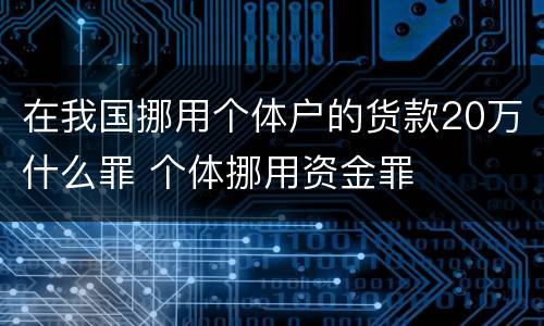 在我国挪用个体户的货款20万什么罪 个体挪用资金罪