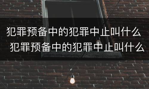 犯罪预备中的犯罪中止叫什么 犯罪预备中的犯罪中止叫什么案件