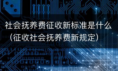 社会抚养费征收新标准是什么（征收社会抚养费新规定）