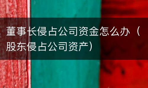 董事长侵占公司资金怎么办（股东侵占公司资产）