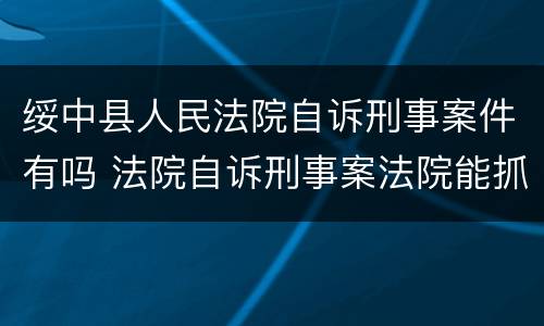 绥中县人民法院自诉刑事案件有吗 法院自诉刑事案法院能抓人吗