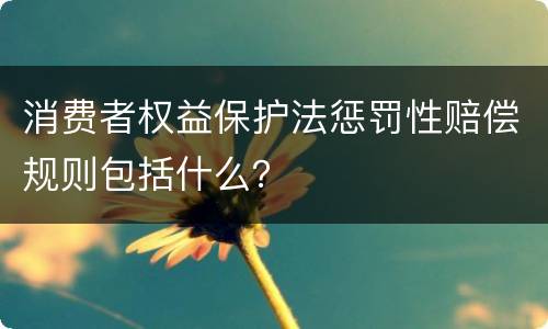 消费者权益保护法惩罚性赔偿规则包括什么？