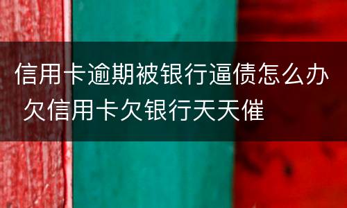 信用卡逾期被银行逼债怎么办 欠信用卡欠银行天天催