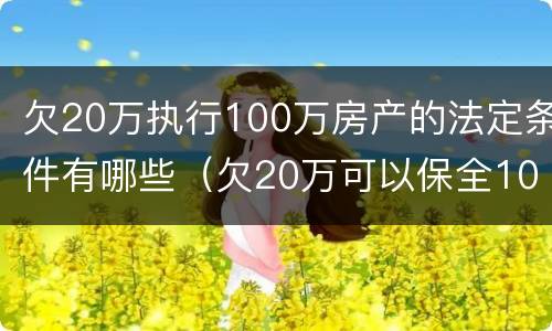 欠20万执行100万房产的法定条件有哪些（欠20万可以保全100万房产吗）