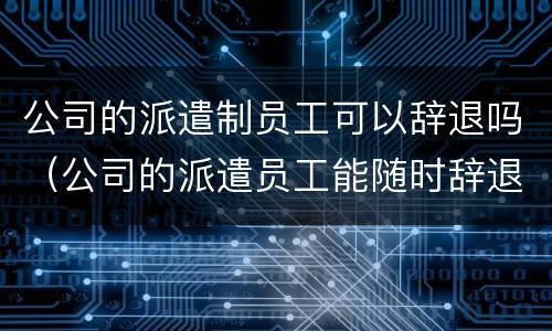 公司的派遣制员工可以辞退吗（公司的派遣员工能随时辞退吗）